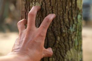 iemands hand die iets aan een boom vasthoudt foto