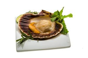 coquille met asperges, limoen, munt en rozemarijn foto