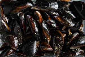 verse mosselen shell zeevruchten maaltijd eten snack op tafel kopieer ruimte eten foto