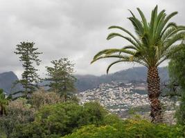 het eiland madeira foto