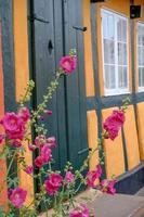 svaneke op het eiland Bornholm foto