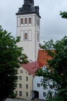 de stad tallinn in estland foto