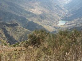 tenerife eiland in spanje foto