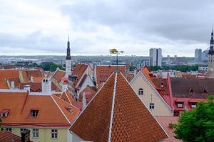 de stad tallinn in estland foto