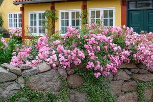 svaneke op het eiland Bornholm foto