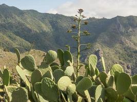 tenerife eiland in spanje foto