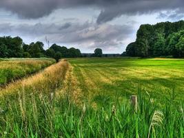 kleine kreek in Westfalen foto