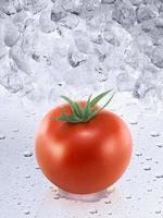 verse tomaat op ijsblokjesachtergrond foto