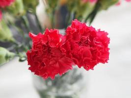 roze anjerbloem in waterglas op tafel foto