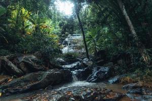 waterval in het tropische woud in het regenseizoen foto