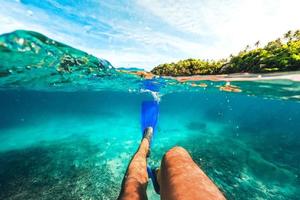 tropisch eiland palm en onderwater, snorkelen in de zee foto