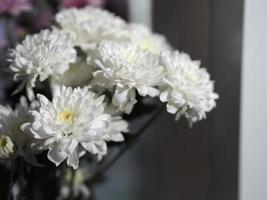 witte gerbera, barberton madeliefje bloem mooi boeket in waterglas kleurrijk mooi foto