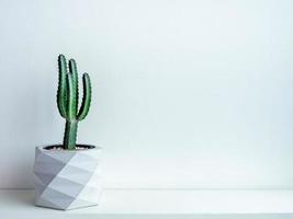 cactuspot. betonnen bak. moderne geometrische betonnen plantenbak. foto