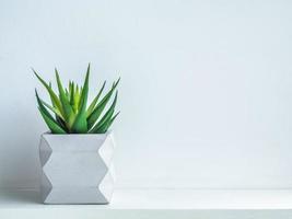 betonnen bak. moderne geometrische betonnen plantenbak. foto