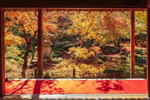 frame tussen houten paviljoen en prachtige esdoorn in Japanse tuin en rode loper bij enkoji-tempel, kyoto, japan. mijlpaal en beroemd in het herfstseizoen foto