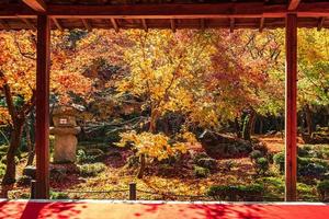 frame tussen houten paviljoen en prachtige esdoorn in Japanse tuin en rode loper bij enkoji-tempel, kyoto, japan. mijlpaal en beroemd in het herfstseizoen foto