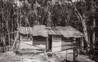 kleurrijke golfplaten hut in tropische jungle mexico. foto