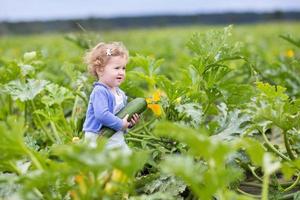 klein meisje lopen op boerderij veld rijpe courgette verzamelen foto