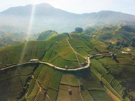 prachtige luchtfoto - landbouwtoerisme in de bergen, in West-Java-Indonesië foto