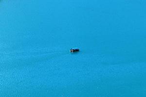 prachtige oevers van het meer van bled in slovenië foto
