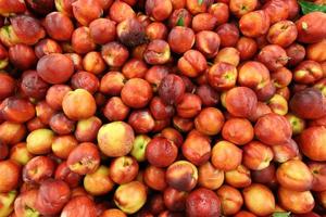 bessen en fruit worden verkocht op een bazaar in Akko, Noord-Israël. foto