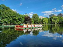 zwanenboten en meerwater en bomen in Boston Commons foto