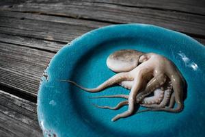 rauwe baby-octopus klaar om te koken op blauw bord foto