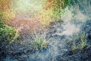 vuur verbrandt gras op veld met rook van wildvuur in de zomer foto