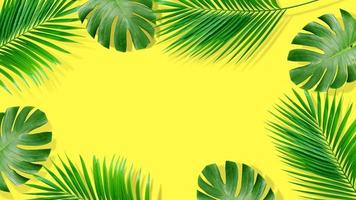 zomer compositie. tropische palmbladeren op gele achtergrond. zomer concept. foto