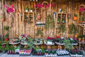 kleurrijke bloemen op showcase. ingang van een kleine bloemenwinkel foto