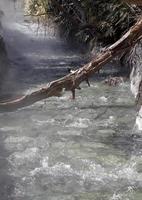 een rivier van heet water stroomt door het bos bij kusatsu onsen, japan foto
