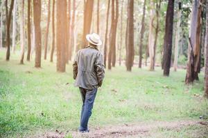 mensenportret in groene bosnatuur met warm zonlicht foto