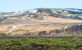 het spectaculaire landschap van eldhraun lavamosveld in ijsland. dit indrukwekkende lavaveld de grootste lavastroom ter wereld. foto