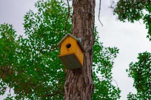 vogelhuisje aan een boom foto