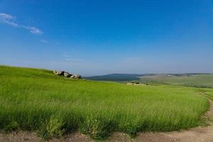 een schilderachtig uitzicht op de groene steppeheuvels, weilanden die zich in de verte uitstrekken. foto