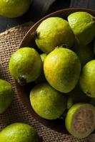 verse biologische groene guave