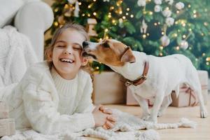 horizontaal schot van blij grappig meisje ontvangt kus van jack russell terrier hond gekleed in winter gebreide trui, geniet van nieuwjaar of kerstboom heeft een brede glimlach. kinderen, huisdieren, liefde, relatie foto
