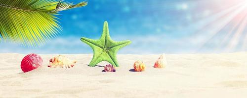 zeester en schelpen op het zonnige strand. zomervakantie achtergrond foto