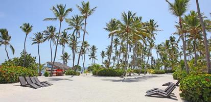 strand met wit zand, zon en rustige oceaan. tropische spandoek. foto