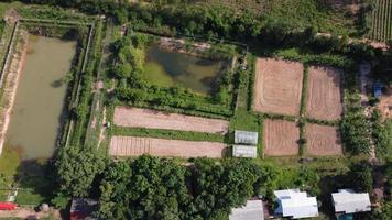 luchtfoto van groene rijstvelden foto