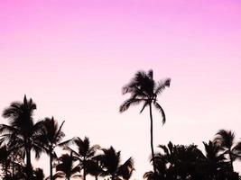 zonsondergang van het eiland Hawaï foto