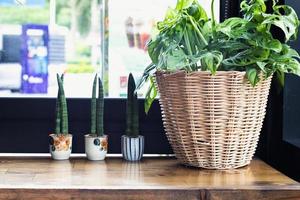 kamerplanten naast het glas in de coffeeshop foto