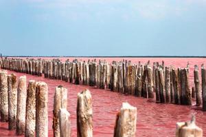 exotisch roze zoutmeer en blauwe lucht met wolken. foto