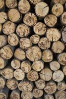 brandhout, log, knuppel