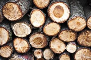brandhout gestapeld