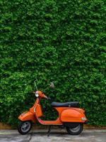 oranje retro scooter geparkeerd aan straatkant met groene bladeren muur. foto