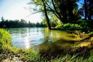 wilde brenta rivier foto