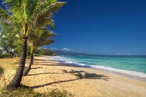 Paia Beach, North Shore, Maui, Hawaï foto
