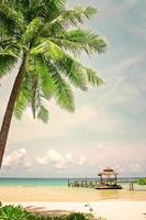 palmboom in tropische perfect strand