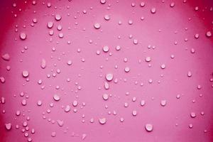 waterdruppels op roze achtergrond foto